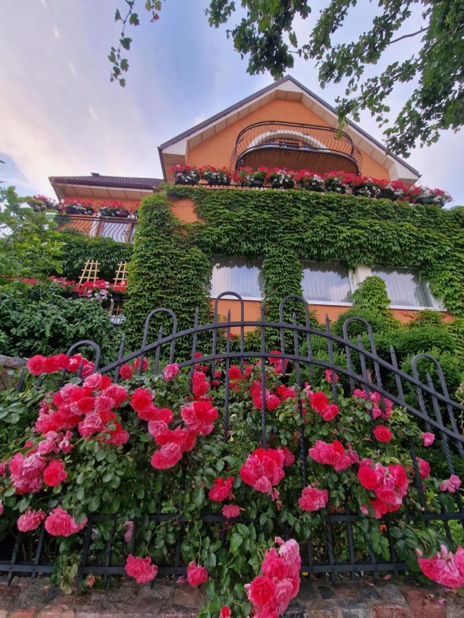 Victoria Homestay Leba