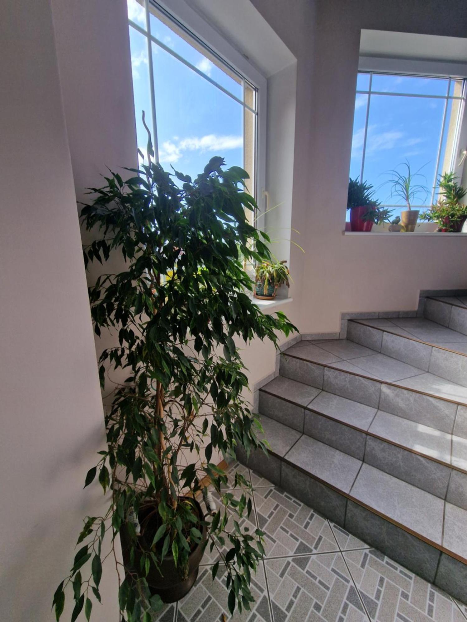 Homestay Victoria Leba